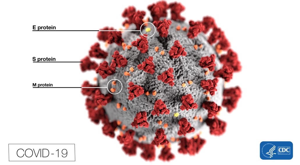 Resources for Seniors in Scotts Valley during COVID-19 Pandemic